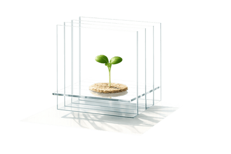 Sustainability Claims: Do They Build Trust?