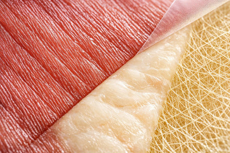Cell Line Selection: Impact on Taste and Texture
